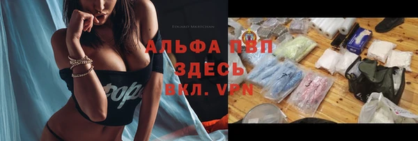 крисы Арсеньев