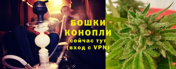 крисы Арсеньев