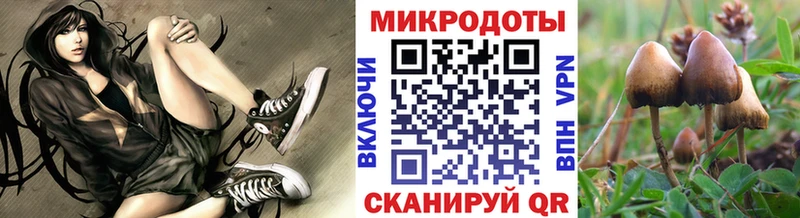 хочу наркоту  Ахтубинск  Псилоцибиновые грибы ЛСД 